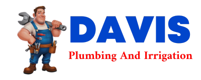 Trusted plumber in SWISSHOME